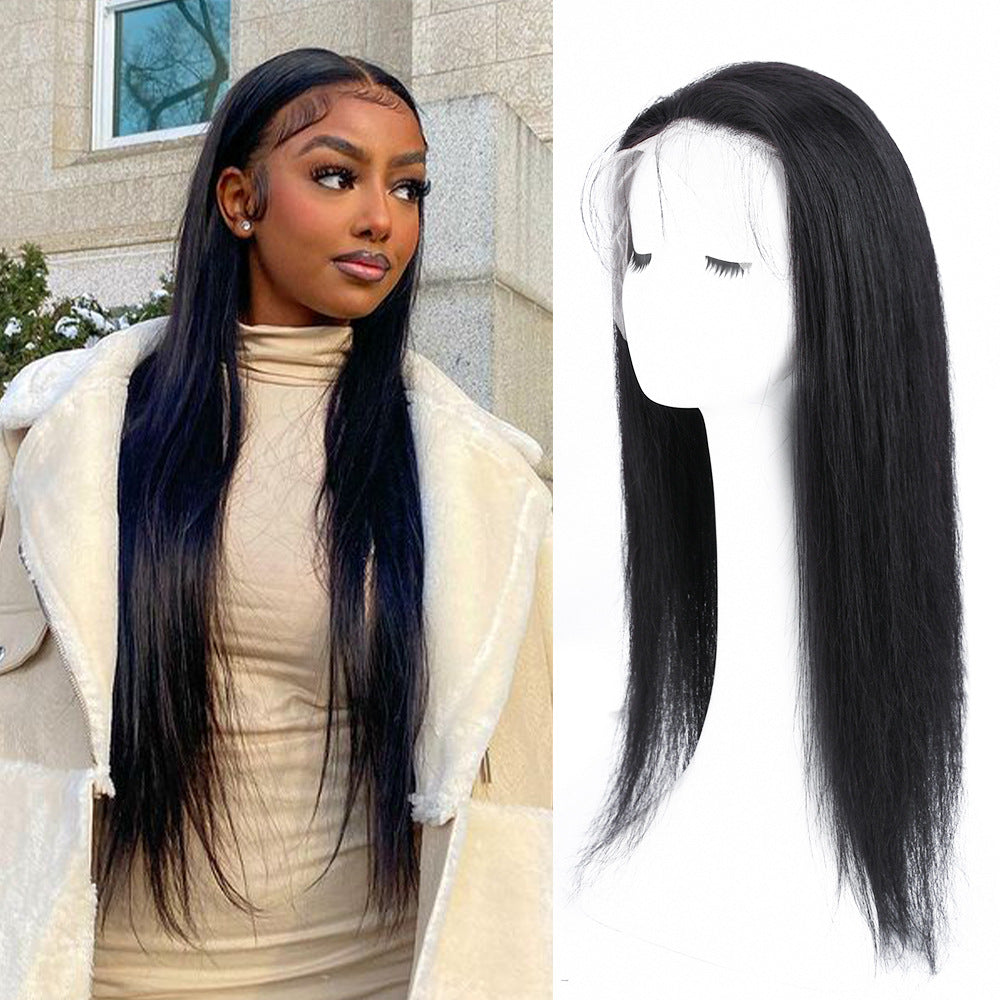 Silk Aura Front Lace Straight Black Human Hair Wig 13x4 Model with Wig Side